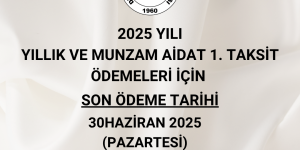2025 yılı