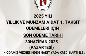 2025 yılı