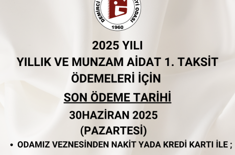 2025 yılı